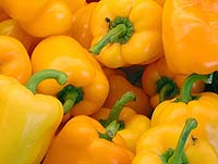 Paprika gelb