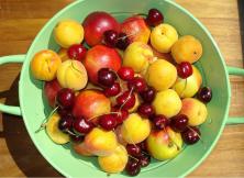 Probelieferung Obst 30