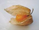 Physalis 100 g