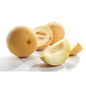 Melone Honig