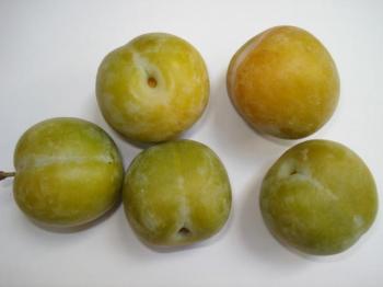 Reineclauden 1000 g