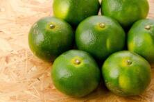 Satsumas gr&uuml;nlich