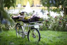 BIOBOB - Ihr Promotion-Partner