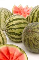 Wassermelone mini